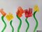 TULIPANY