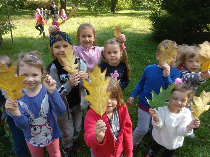 Zdjęcia przedstawia przedszkolaki podczas ich pobytu w Parku Miejskim w Hajnówce. W centrum zdjęcia stoi ośmioro dzieci, które trzymają w rękach liście.