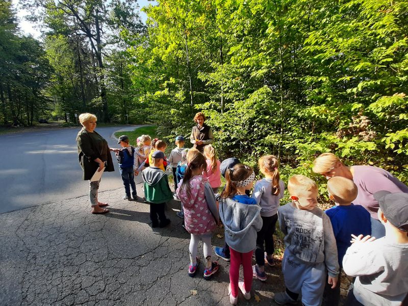 Fotografia przedstawia grupę sześciolatków stojącą na asfaltowej drodze. Przodem do dziećmi stoi pani leśnik, widać również nauczycielkę i opiekunkę. Tło zdjęcia stanowią zielone drzewa liściaste. Dzień jest pogodny i słoneczny.