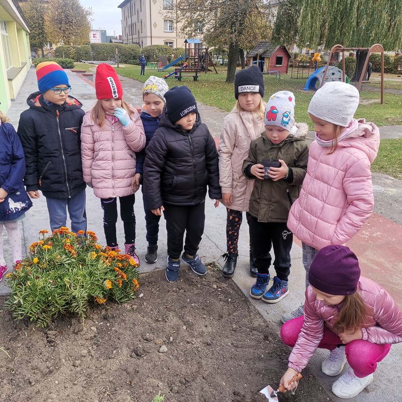 Grupa dzieci stoi przy rabacie w ogrodzie przedszkolnym.